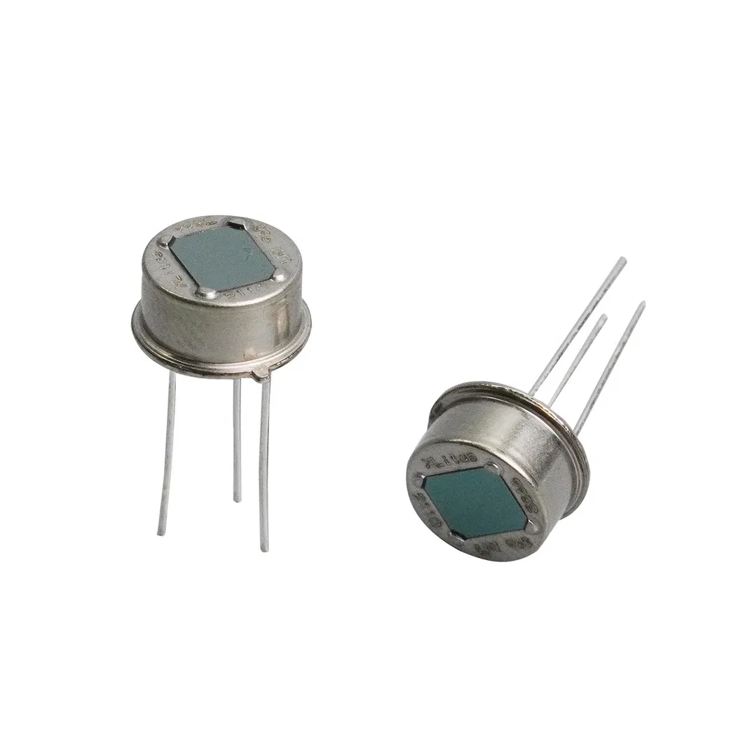 Human Detect Sensor D203s Infrared Human Corridor LED Switch Pyroelectric Passive Infrared PIR Motion Sensor